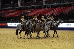 Quadrille - 00887